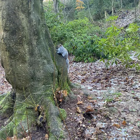 罗素酒店 招待所 4*