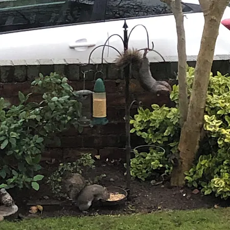 Casa de hóspedes The Russell 4*