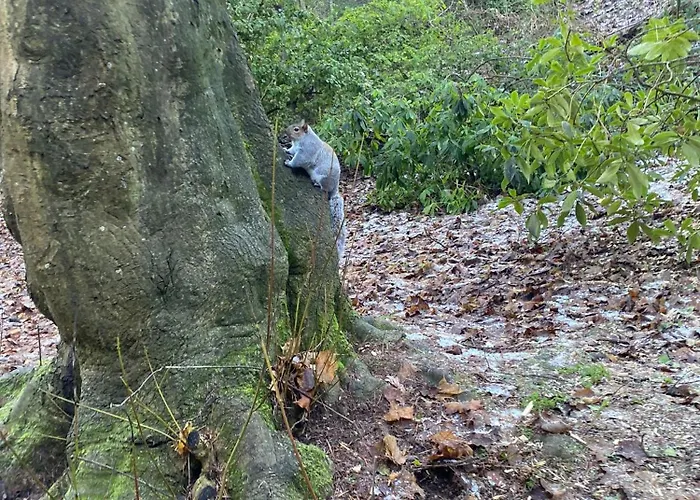 The Russell Guest house 4*