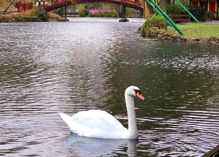 Pensionat The Russell Scarborough