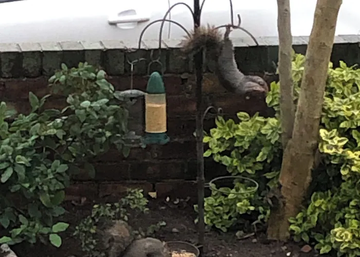 Pensionat The Russell 4*